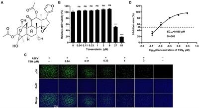 Toosendanin suppresses African swine fever virus replication through upregulating interferon regulatory factor 1 in porcine alveolar macrophage cultures